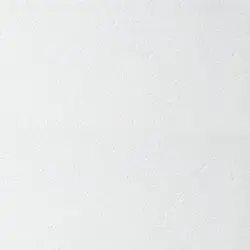 Плита потолочная ARMSTRONG Bioguard Plain Board 600х600х15 мм белый (5,76 кв.м./упак)