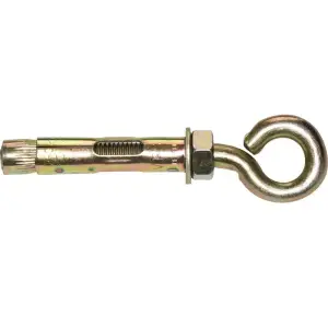 Болт анкерный с кольцом 12х70 (1шт) SteelRex