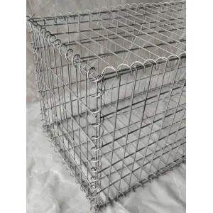 Габион из сетки ячейкой 100х50, проволока 4,8мм, 2500х1000х1200 со стяжками и сборочными спиралями