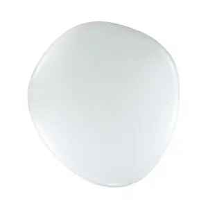 Светильник 2039/DL COLOR SN 084 пластик/белый LED 48Вт 3000-6000K 500х460 IP43 пульт ДУ STONE*
